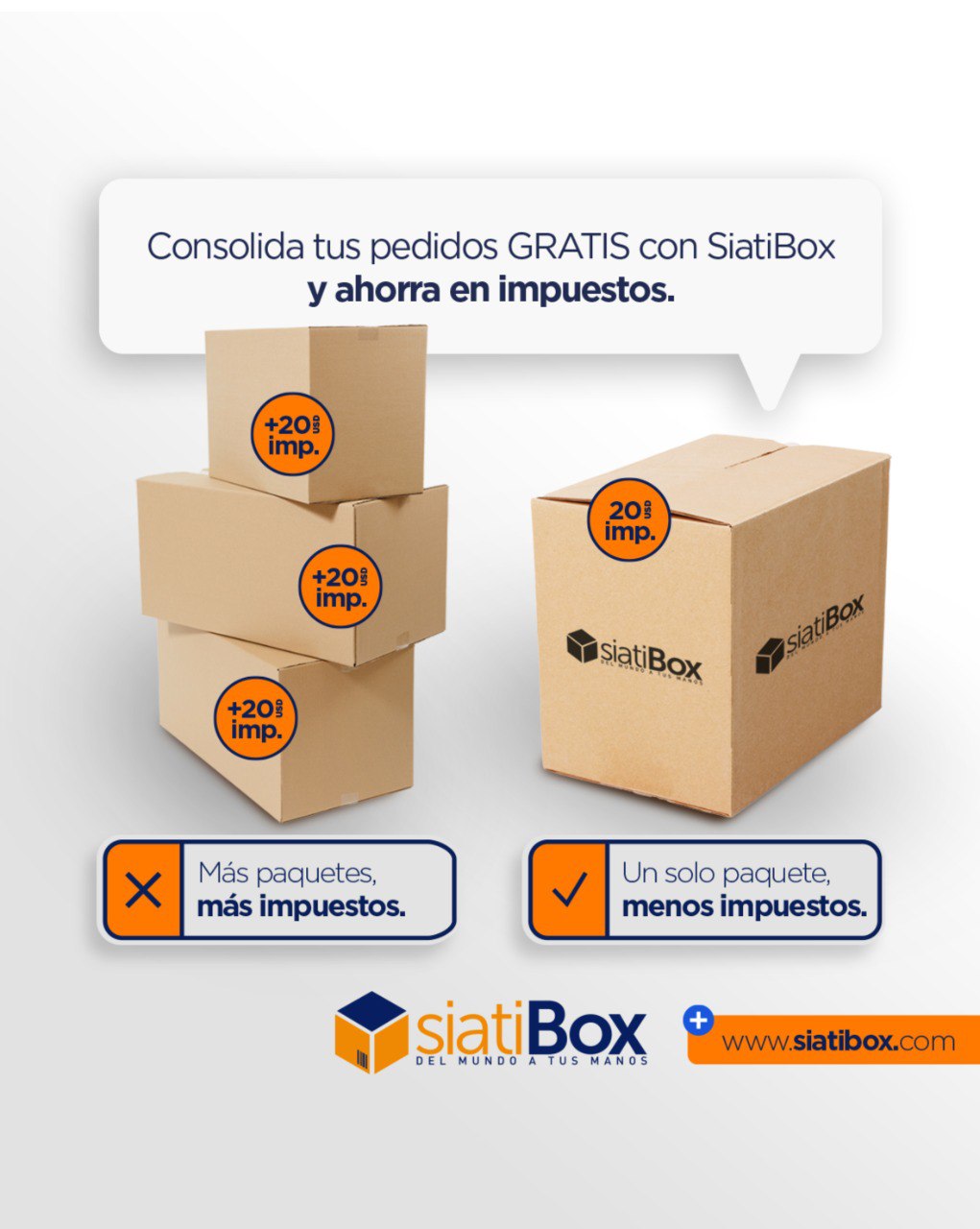Descripción